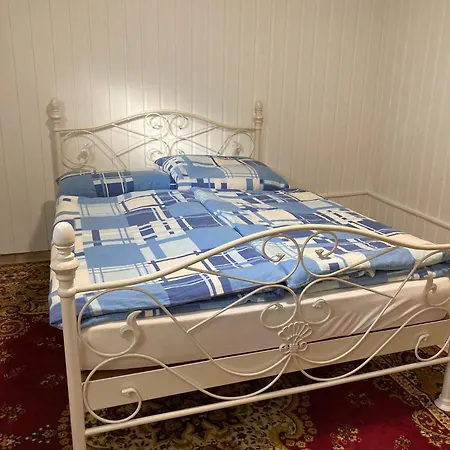 Grosses Haus Mit Top-garten Mitten In *