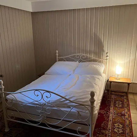 Grosses Haus Mit Top-garten Mitten In *